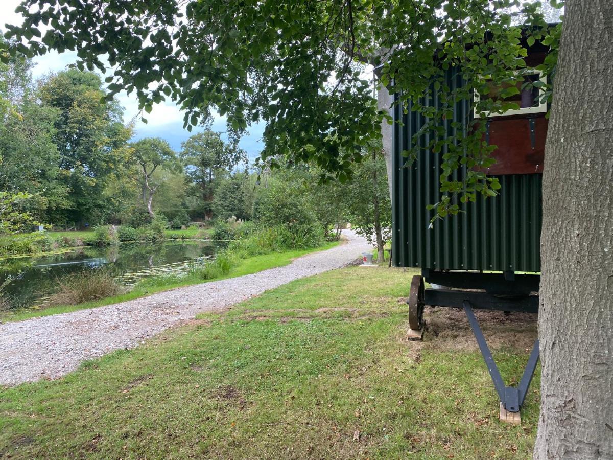 The Shepherd'S Hut - Wild Escapes Wrenbury Off Grid Glamping - Ages 12 And Over Baddiley Bagian luar foto